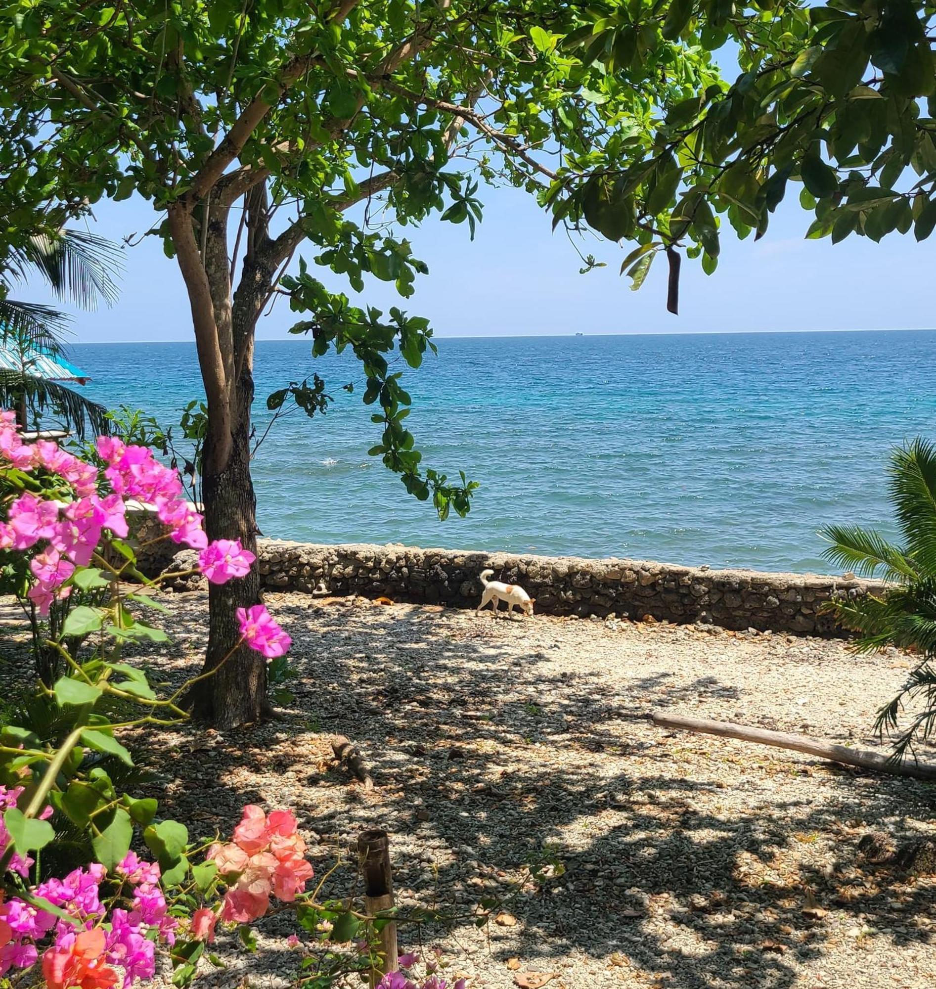 Paseo Del Mar Seaside Inn Jagna Zewnętrze zdjęcie