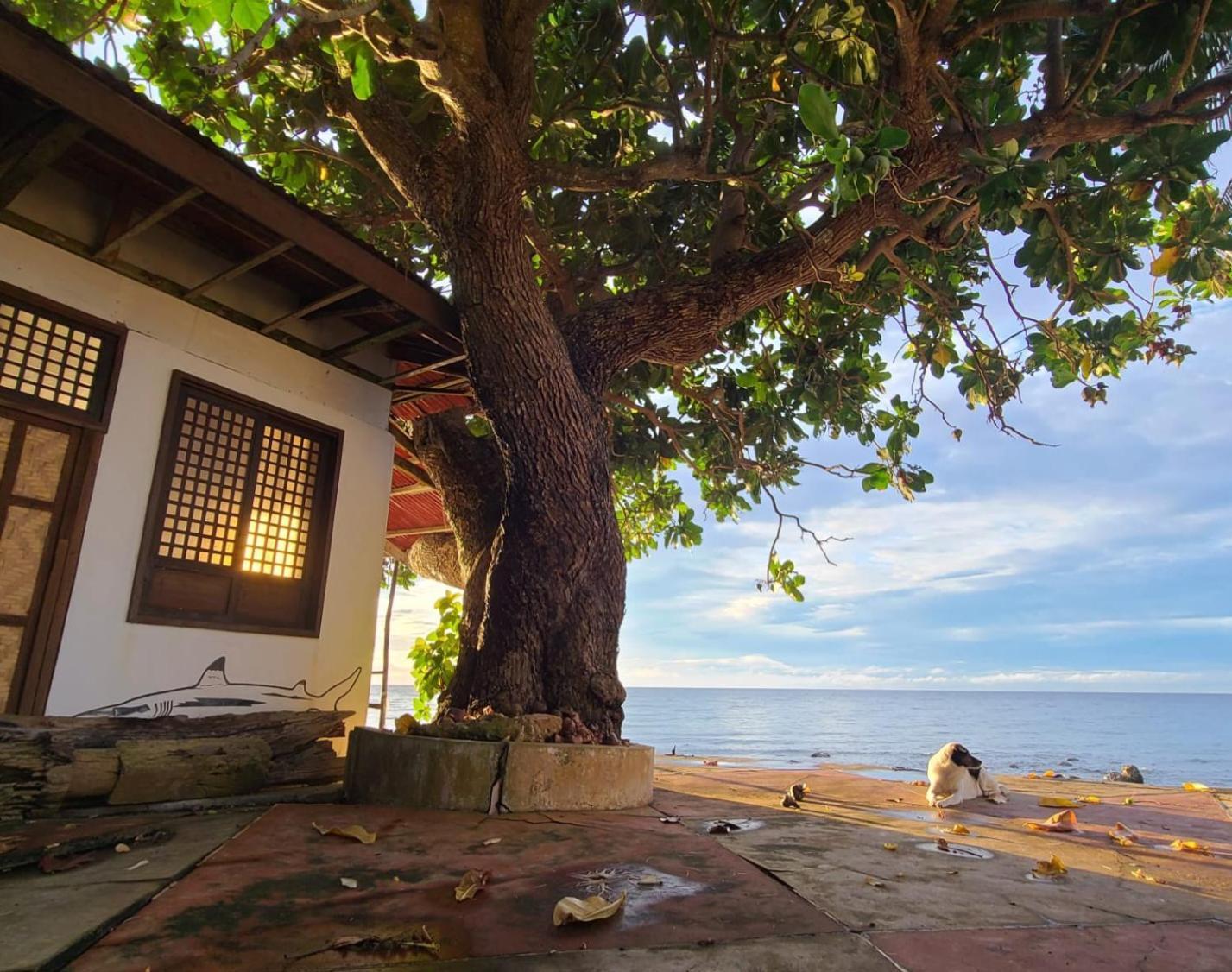 Paseo Del Mar Seaside Inn Jagna Zewnętrze zdjęcie