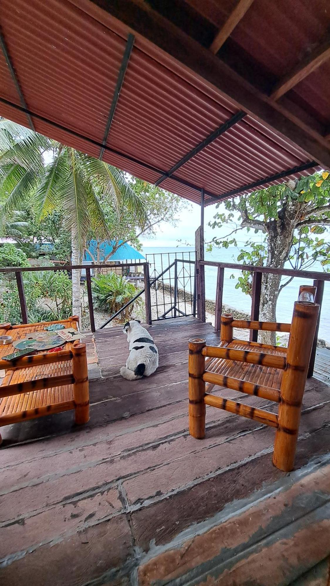 Paseo Del Mar Seaside Inn Jagna Zewnętrze zdjęcie
