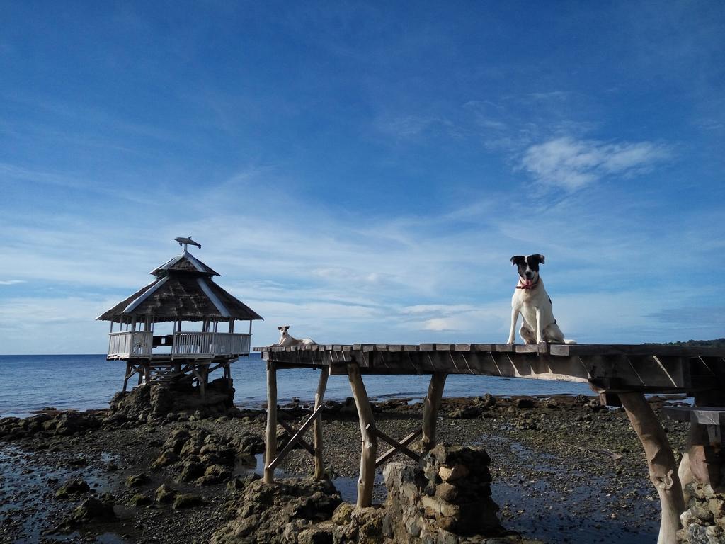 Paseo Del Mar Seaside Inn Jagna Zewnętrze zdjęcie